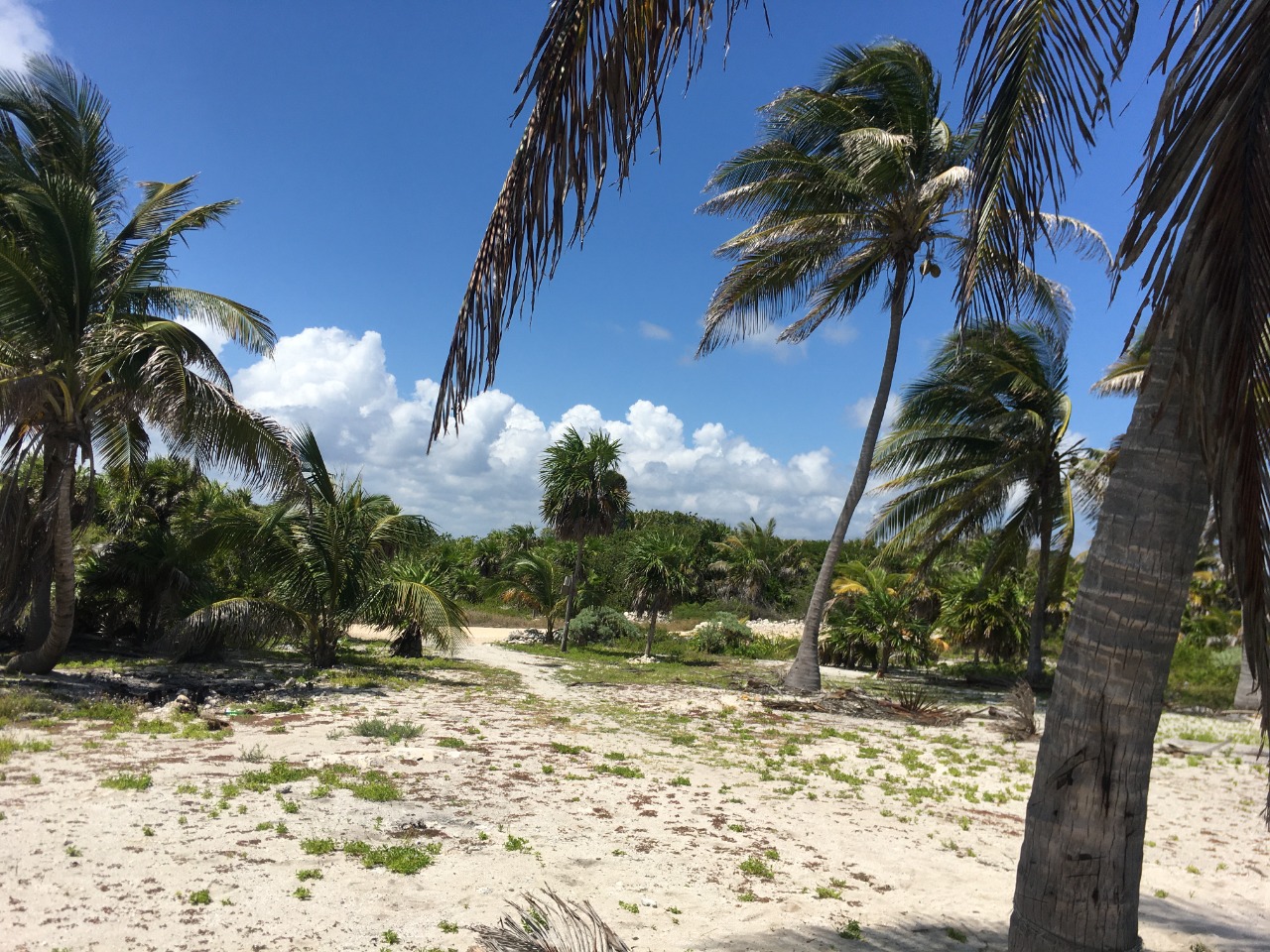 Costa Maya coastline from above — property location