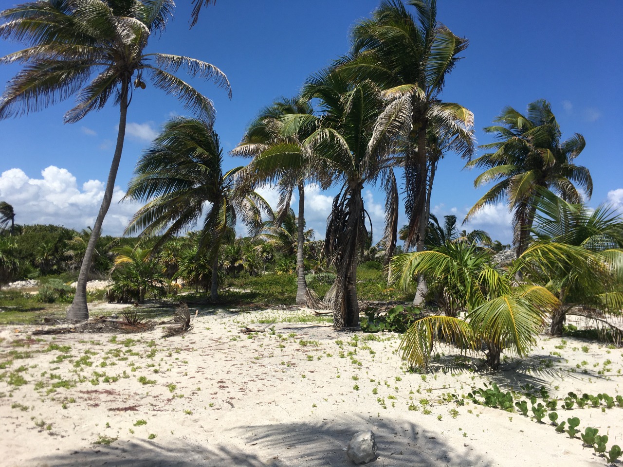 White sand beach at property edge