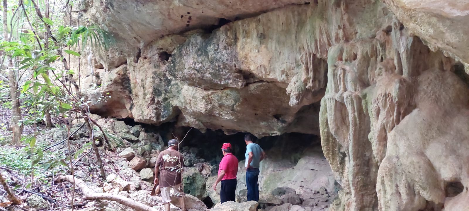 Cenote 3 at Rancho Culul - cave cenote with limestone stalactites